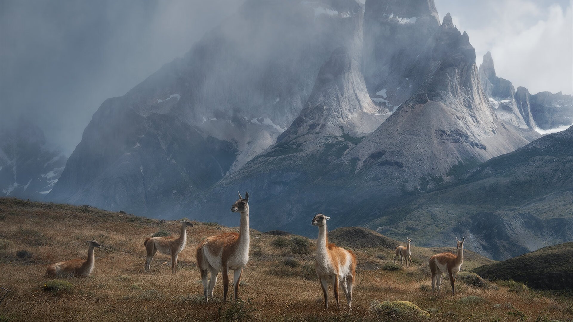 kaiyun开云·官方网站-全国青少年足球“智慧成长档案”正式上线，科研赋能评估体系，全国青少年足球示范校