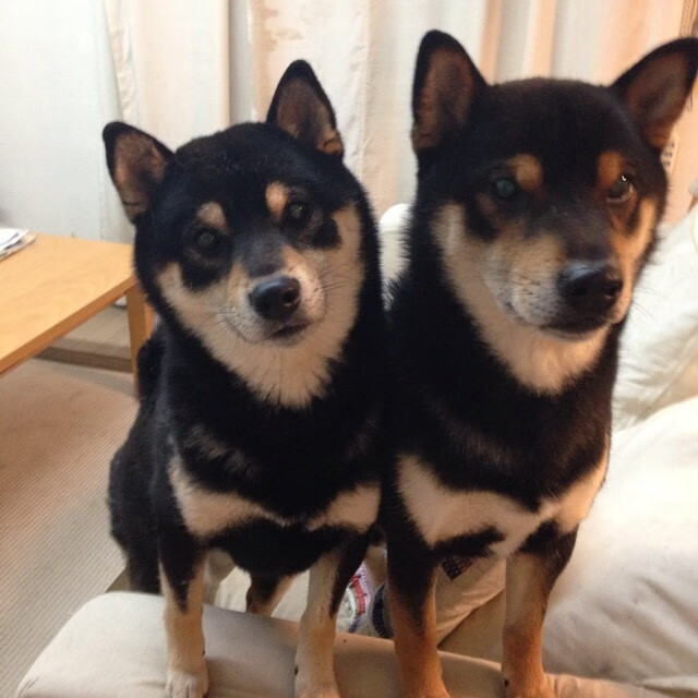 开yun官网-史上最震撼的单圈纪录，单圈最好成绩